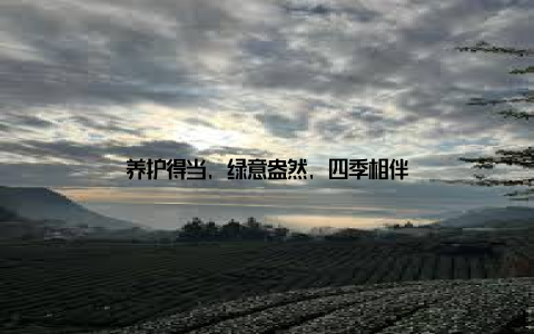 养护得当, 绿意盎然, 四季相伴