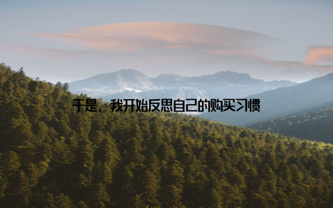 于是, 我开始反思自己的购买习惯