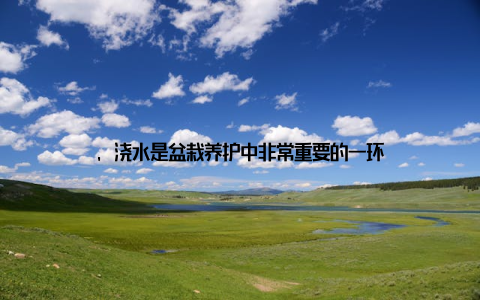 , 浇水是盆栽养护中非常重要的一环