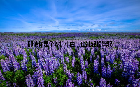 即使你是个养护小白, 也能轻松驾驭