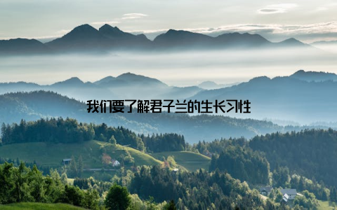 我们要了解君子兰的生长习性