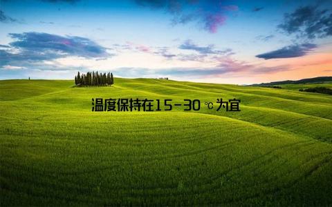 温度保持在15-30℃为宜