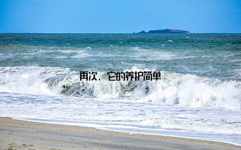 再次, 它的养护简单