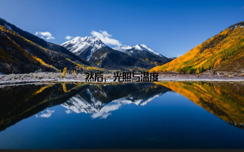 然后, 光照与温度