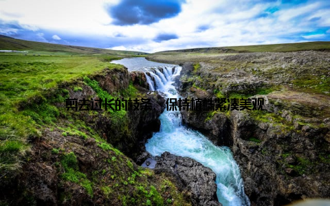 剪去过长的枝条, 保持植株紧凑美观