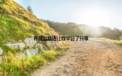 养植盆栽还让我学会了分享