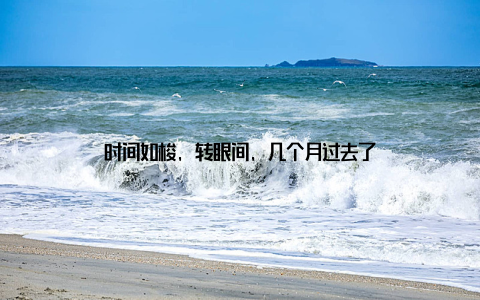 时间如梭, 转眼间, 几个月过去了