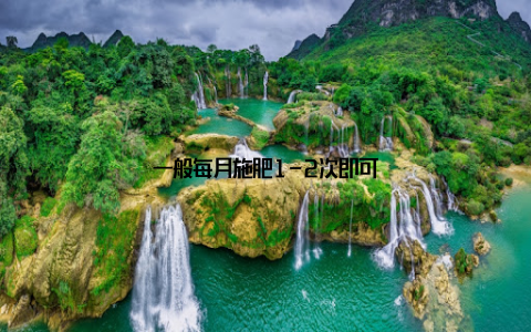 一般每月施肥1-2次即可