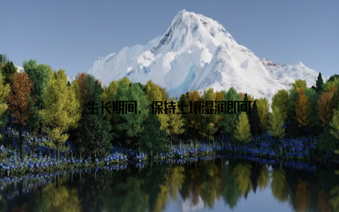 生长期间, 保持土壤湿润即可