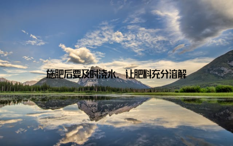 施肥后要及时浇水, 让肥料充分溶解