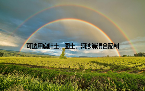 可选用腐叶土、园土、河沙等混合配制