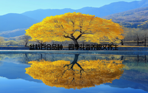 盆栽百合品种, 四季花香养眼又养生