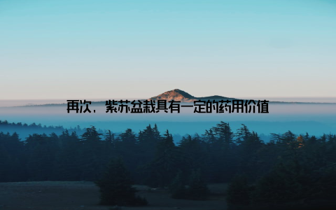 再次, 紫苏盆栽具有一定的药用价值