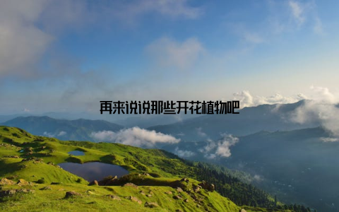 再来说说那些开花植物吧