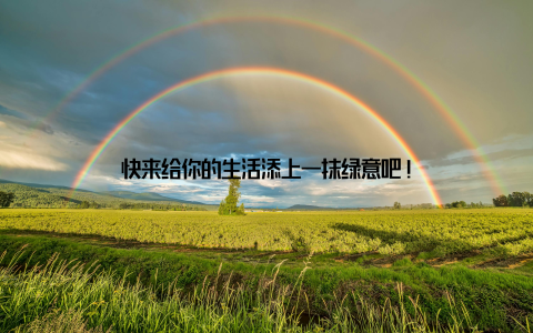 快来给你的生活添上一抹绿意吧!
