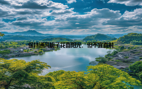 保持通风栀子花喜阳光, 但不宜直射