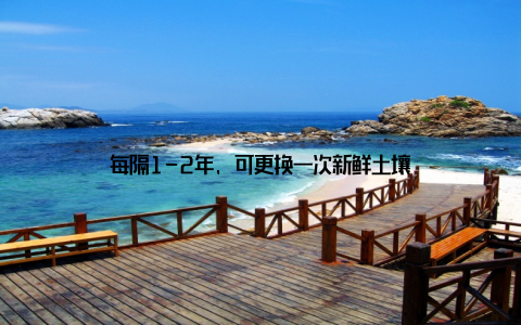 每隔1-2年, 可更换一次新鲜土壤